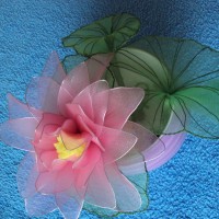 Lotosov cvet