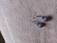 Uhani z perlico orientalskega vzorca
