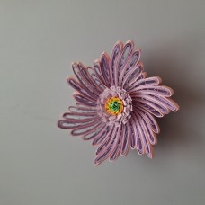viola cvet