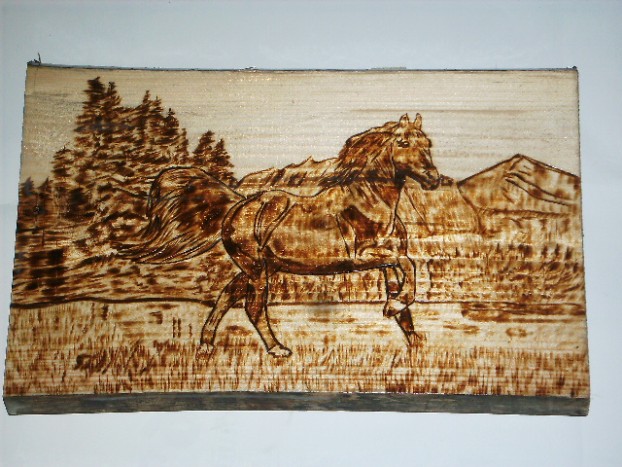 konj na travniku pod gorami - 