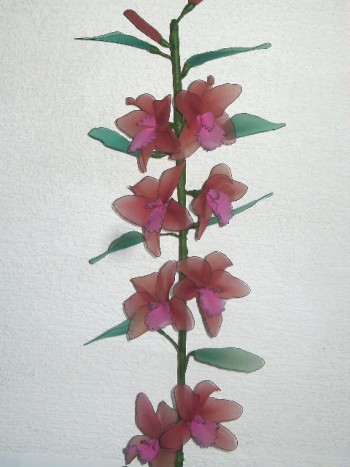 orhideja dendrobium nobile - 