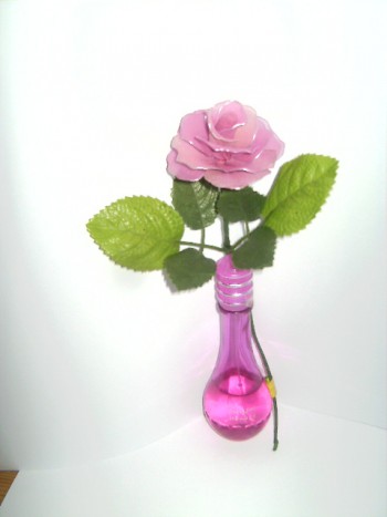 vijolična vrtnica - 