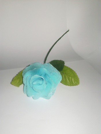 modra vrtnica - 