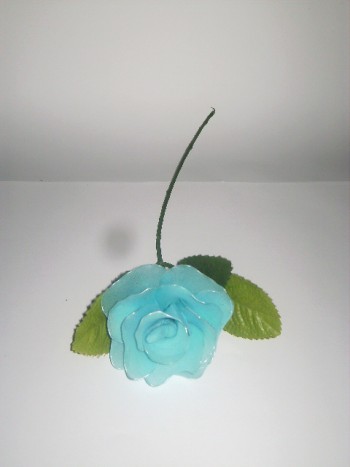 modra vrtnica - 