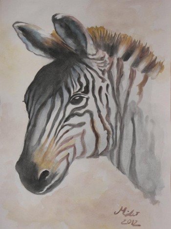 Zebra - 