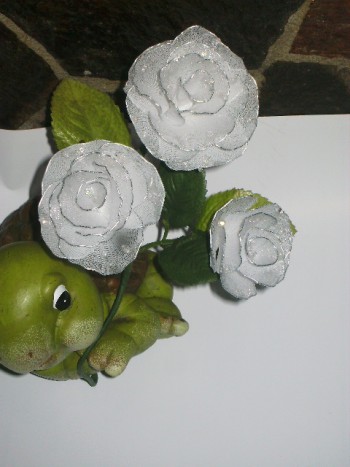 bele vrtnice z rosnimi kapljicami - 