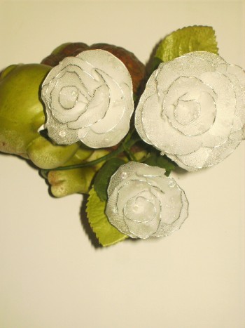 bele vrtnice z rosnimi kapljicami - 