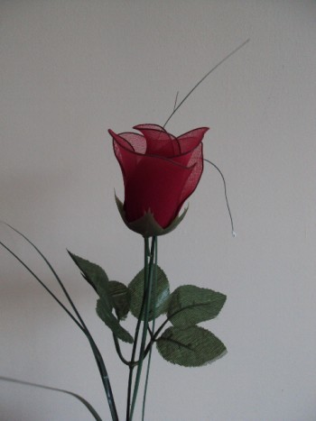 Rdeča vrtnica - 