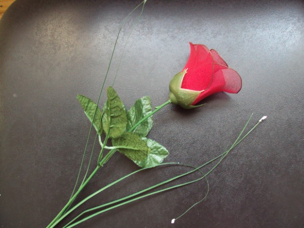 Rdeča vrtnica - 