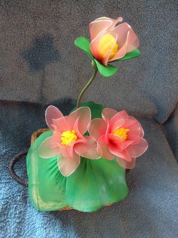 Lotosov cvet roza2 - 