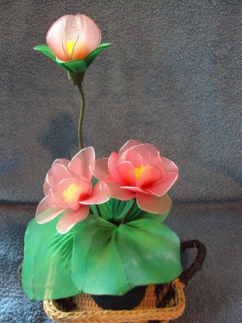 Lotosov cvet roza2 - 