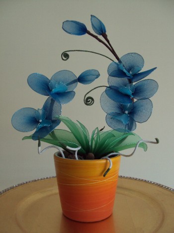 Orhideja modra - 