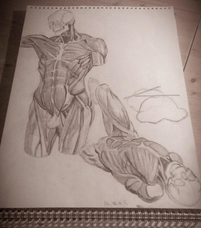 Human anatomy - Skica s svinčnikom, vajenica - za treniranje, A3 format (29,7 x 42 cm).