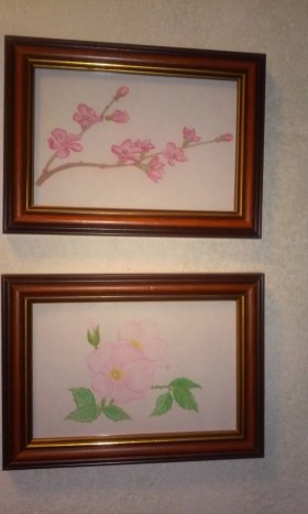 Češnjeva vejica in divja vrtnica - Slika češnjeve vejice in divje vrtnice