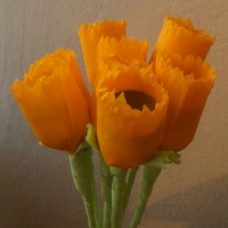 Tulipani s sladkim presenečenjem za Dan žena